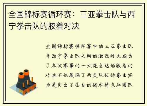 全国锦标赛循环赛：三亚拳击队与西宁拳击队的胶着对决